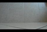 first video snapshot 1