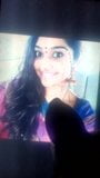 Tamil serial actress cum tribute snapshot 15