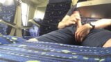 Paja en el tren en Suiza snapshot 5