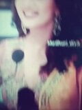 Madhuri Dixit Cum Tribute snapshot 6