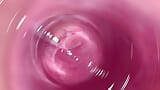 Camera inside my tight creamy pussy, Internal view of my horny vagina snapshot 8