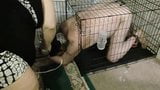 Put doggy in cage snapshot 15