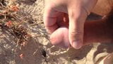 Hairy penis jerked off at the beach snapshot 1