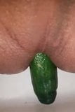 Turk gay cucumber snapshot 1