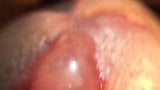 Extremo cerca de polla cumming snapshot 8