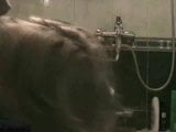 Pipe dans la salle de bain snapshot 1