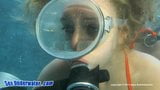 Solusi scuba brooke wyld bawah air snapshot 19