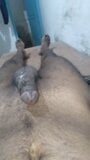 Tamil boy big cock oil massage snapshot 5