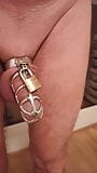 Dripping cock in cockcage snapshot 2