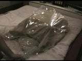 Vacuum Bag snapshot 1