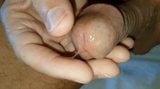 Milking the prostate lets four drops of precum flow snapshot 10