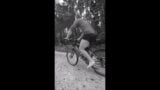 Andy Haxn Woigla 1 Bicycle in Nature with trained Legs and Biceps Posing Autumn Halloween Time snapshot 4