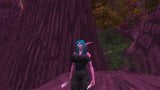 Wow, kurviger Nachtelf snapshot 3