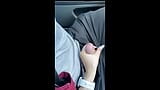 Asian girl giving driver a blowjob while driving stops and fuck snapshot 2