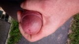 nice jerk off dick snapshot 4