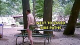 Caught Jacking Off At Picnic Sites SEPTEMBER-2015 snapshot 9