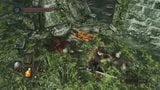 DARK SOULS II-Oh Body glitch 1 snapshot 3