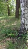 Masturbation sur l'arbre avec une brindille sèche. Chatte poilue dans la forêt snapshot 3