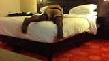 Crossdresser som leker i hotellrummet snapshot 8