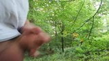 Wank in the wood snapshot 4