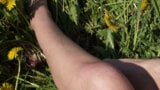 Dandelion part one Erotic snapshot 2