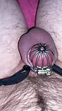 quick cock check in chastity cage snapshot 15