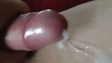 Lots of sperm snapshot 2