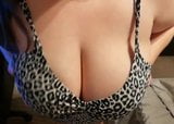 Enormes tetas de milf snapshot 1