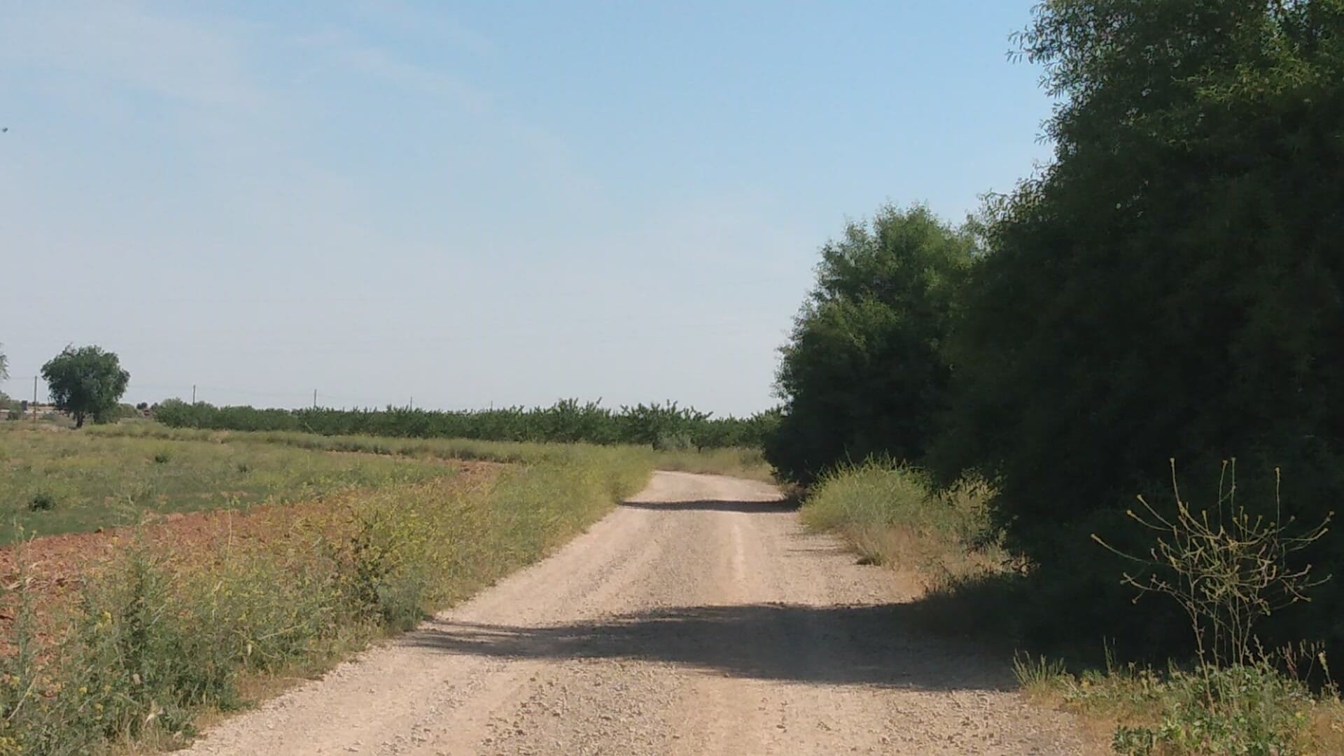 Passeggiata in campagna snapshot 3