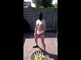 naked jerking in my garden in the sun with cumshot snapshot 3