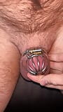 Changing Chastity Cage To Small Cage snapshot 16