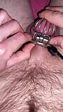 quick cock check in chastity cage snapshot 11