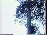 高大的木材（1971）第5部分 snapshot 1