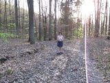 im wald snapshot 2