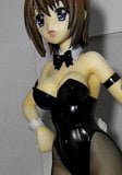 figure bukkake(NanohaSS Hayate bunny) snapshot 4