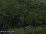 brazilian shemale anal sex in nature snapshot 1