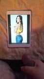 WWE Diva Aj Lee con omaggio snapshot 2