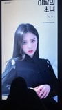 HEEJIN LOONA cum tribute snapshot 7