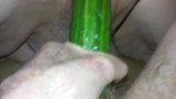 Cucumber fucking mature bbw ! snapshot 2