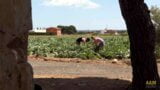 Une blonde sexy baise avec son collègue dans une ferme rurale. snapshot 1