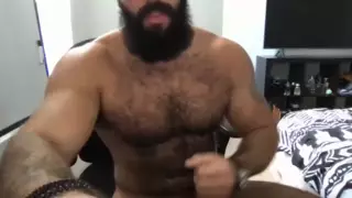 Solo de carne | xHamster