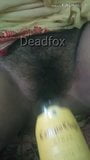 Fox Bengali Couple Dildo Sex snapshot 5