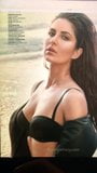 Трибьют для Katrina Kaif с молоком snapshot 2