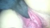 Amateur bbc cornudo extendido snapshot 10