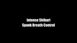 INTENSE SHIBARI SPANK BREATH CONTROL snapshot 1