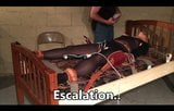 Foxy slave girl is tied down and tormented snapshot 8