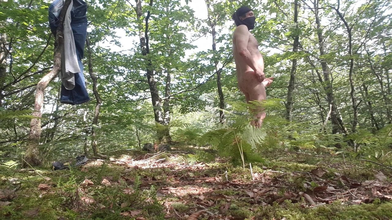Klaarkomen in het bos
