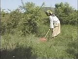 Un couple amateur baise brutalement dans le pré! snapshot 1