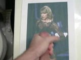 Taylor Swift eerbetoon 2 snapshot 1