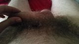 Pubic Hair Play for Bob snapshot 3